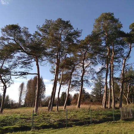 Σπίτι διακοπών Cosy In With Garden Durbuy